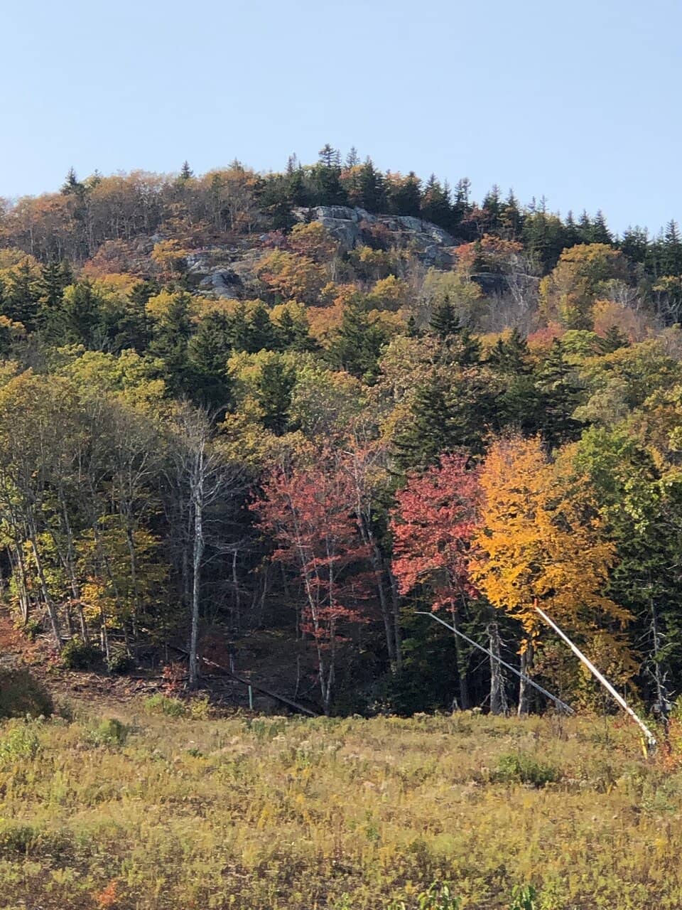 Mountain Biking Trails