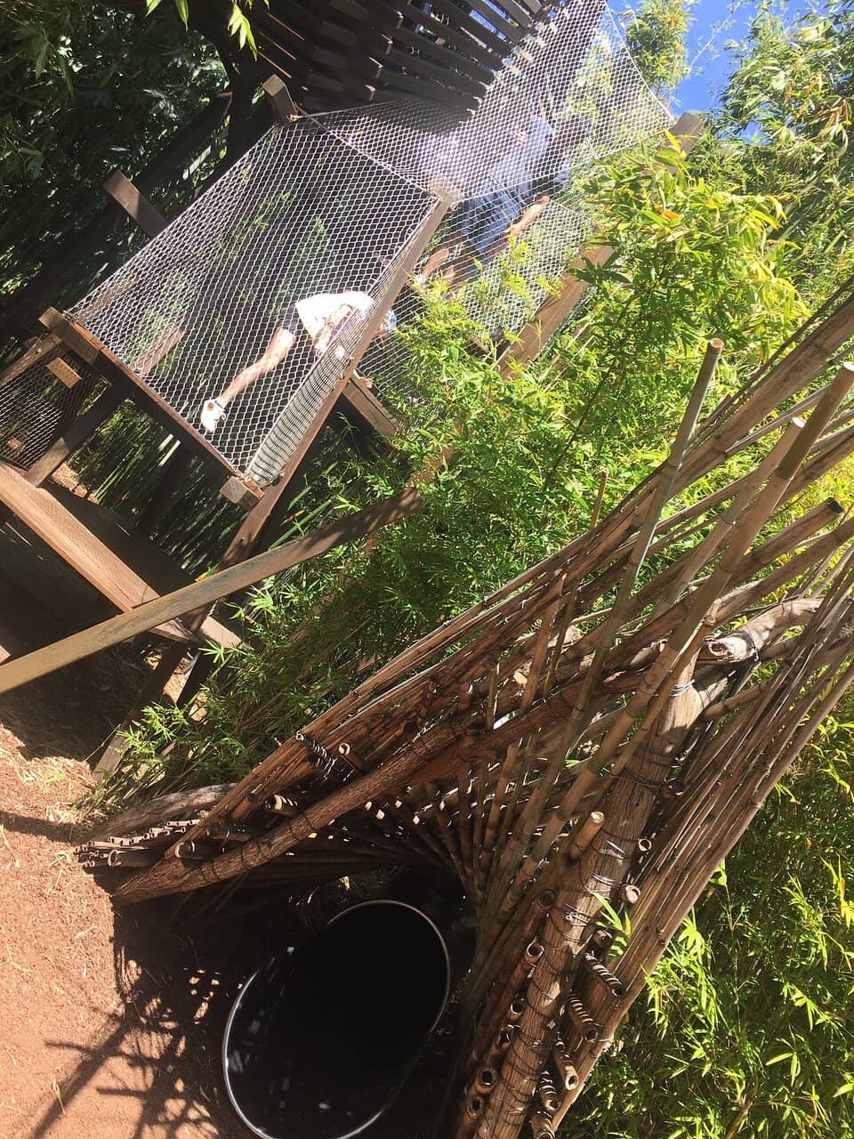 Nature's Obstacle Course