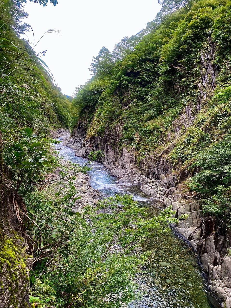Vertical photo