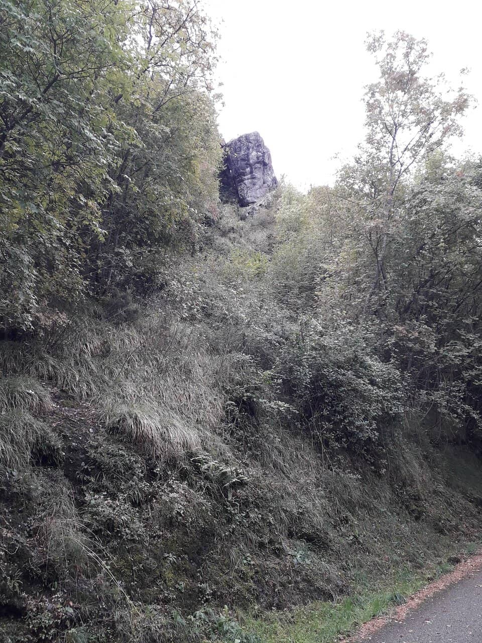Vertical photo
