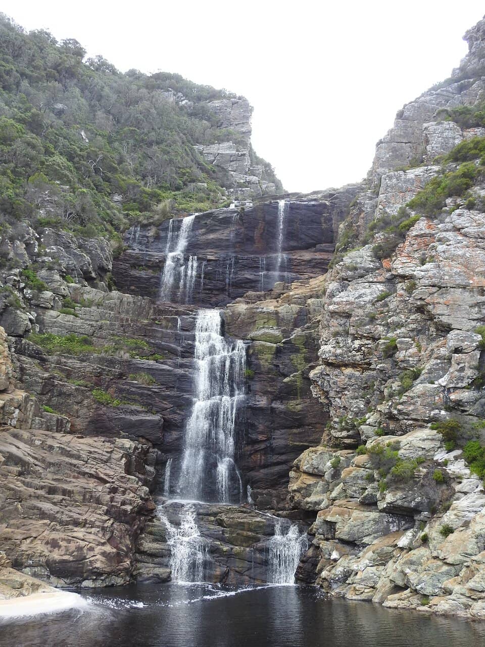 Vertical photo