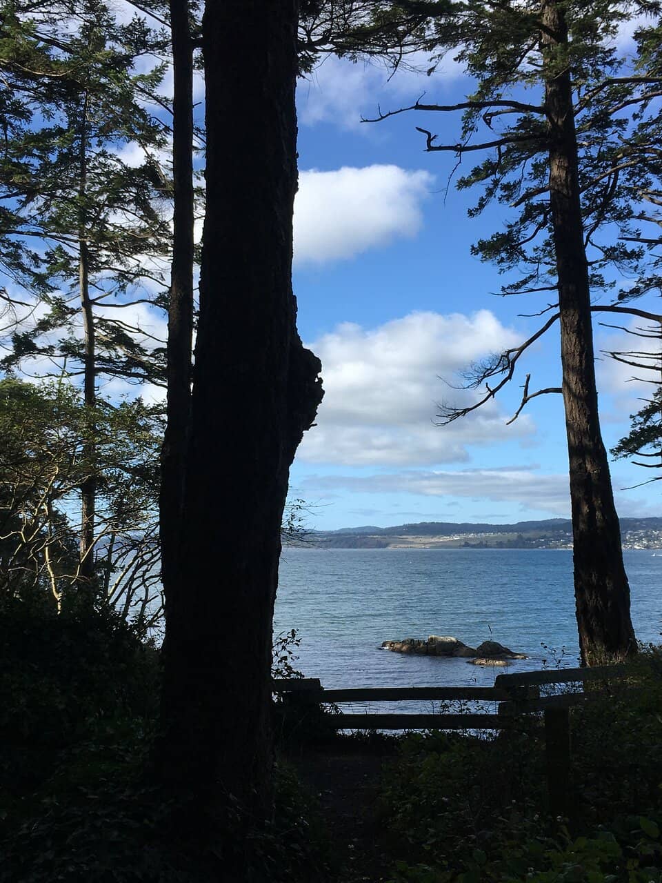 Secluded Beach Access