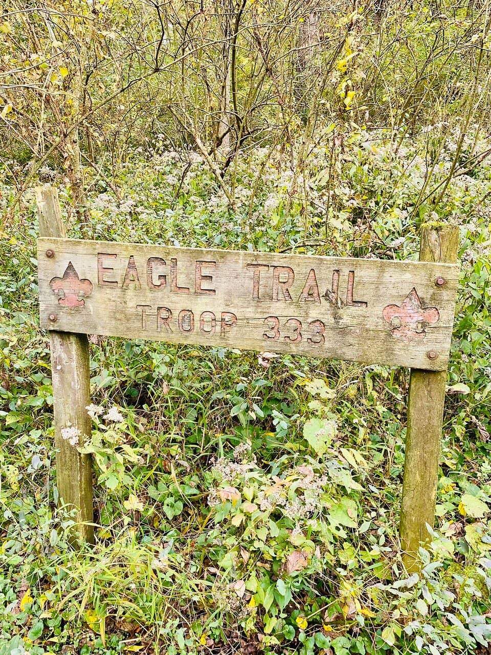 Art & Poetry Walks