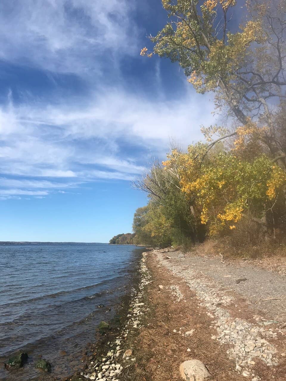 Marina and Pontoon Rentals