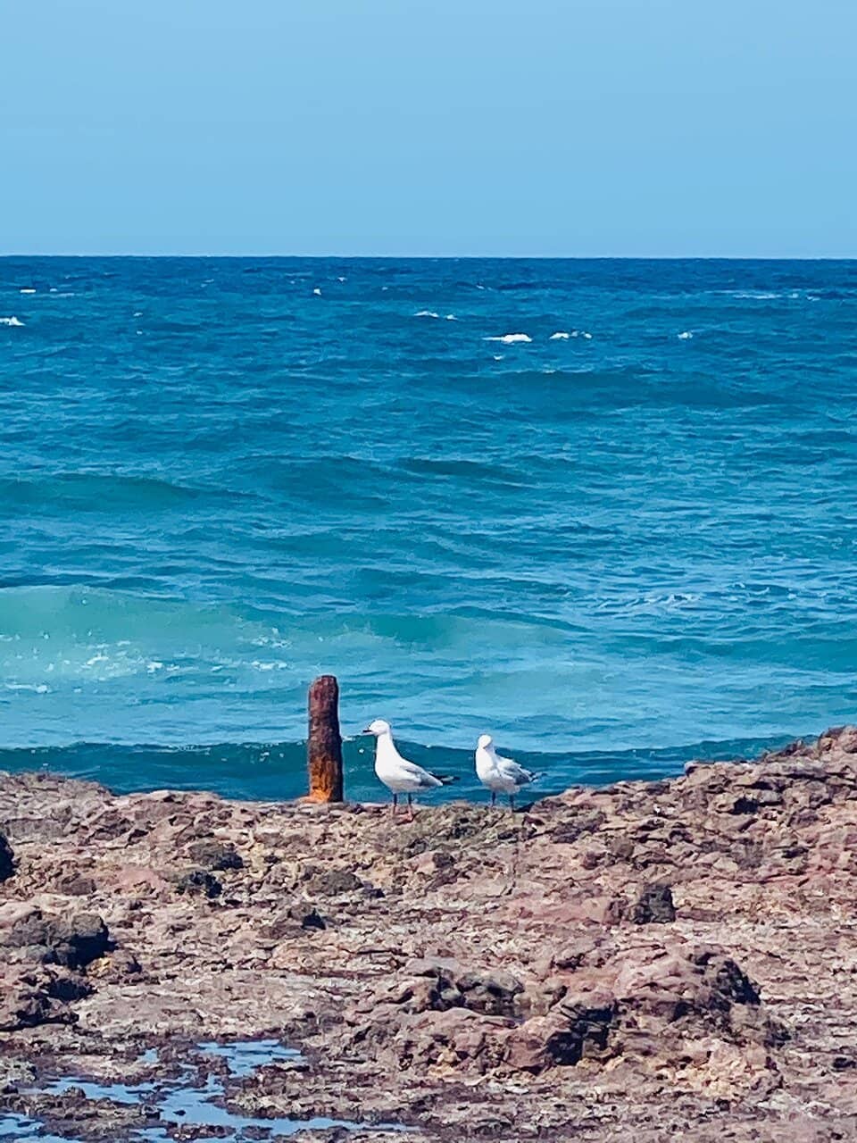 Coastal Walks