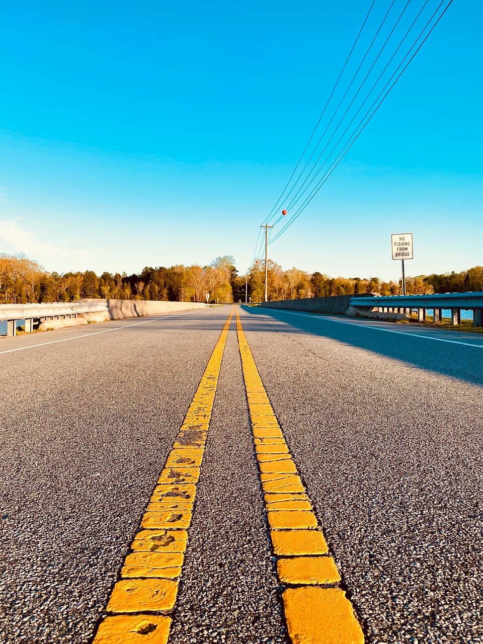 Vertical photo