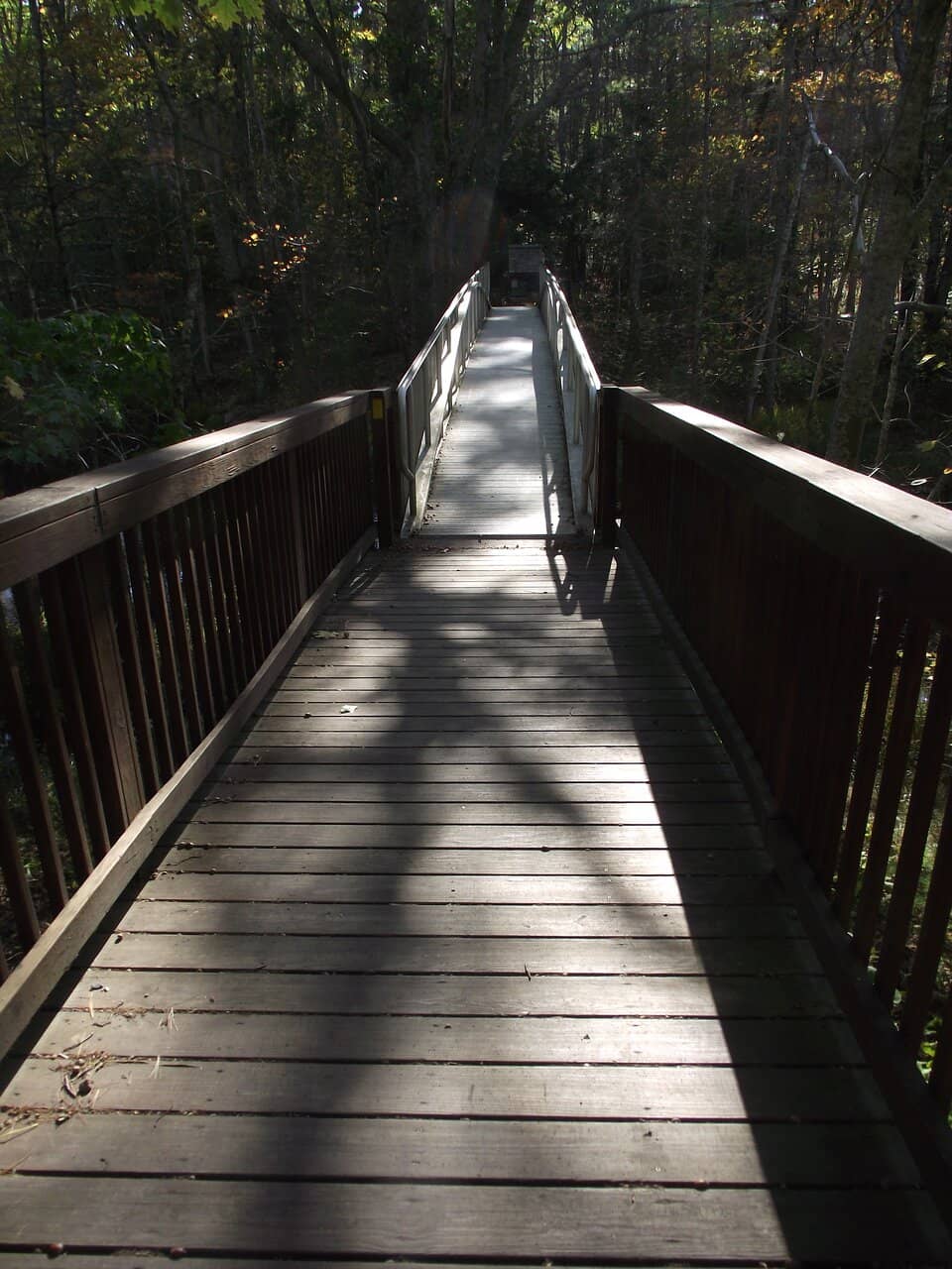 Extensive Trail Network