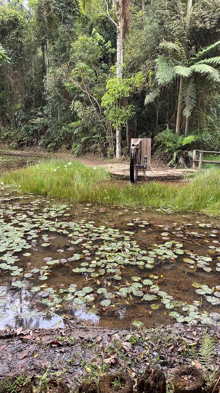 Diverse Flora Collection