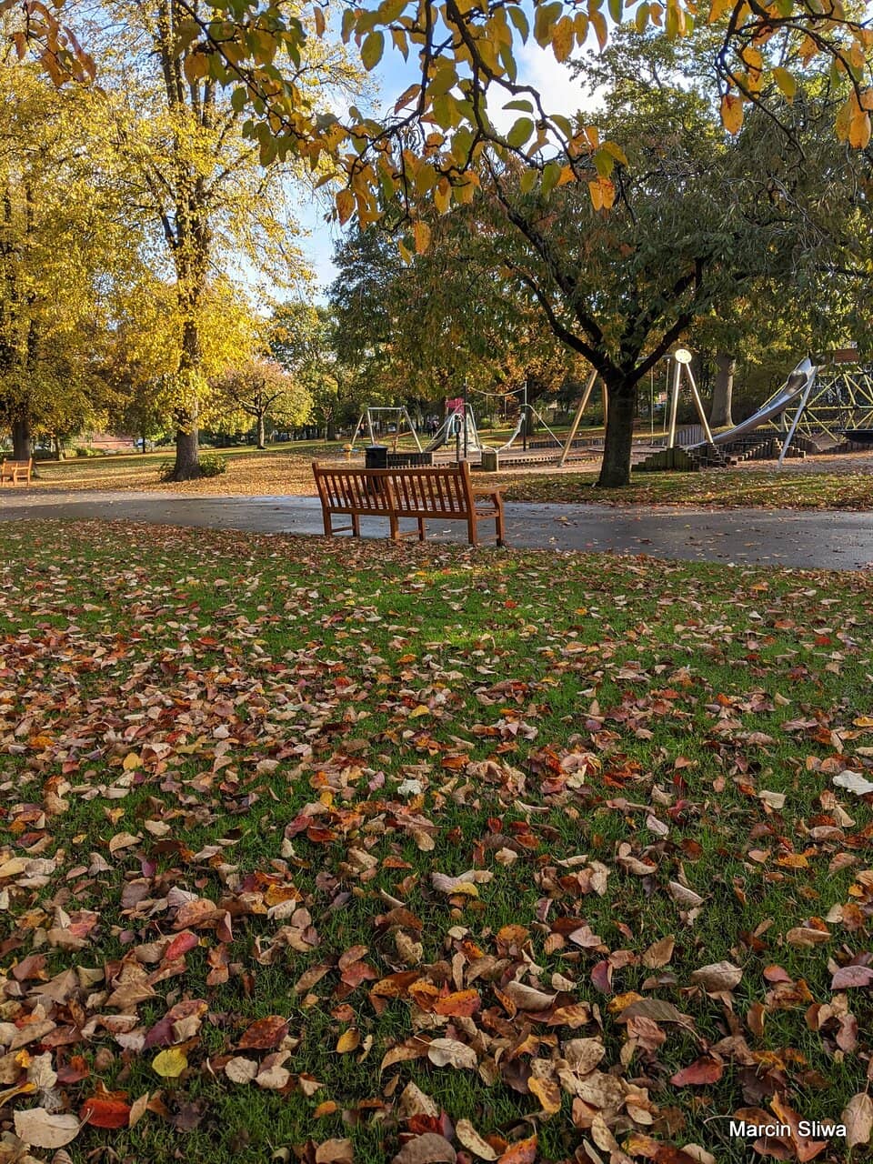 Tree-Lined Walking Paths