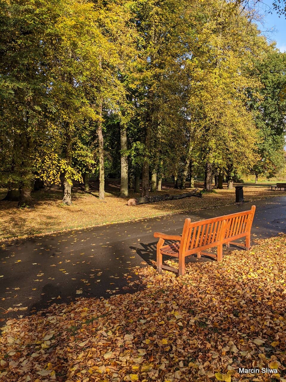 Children's Play Area