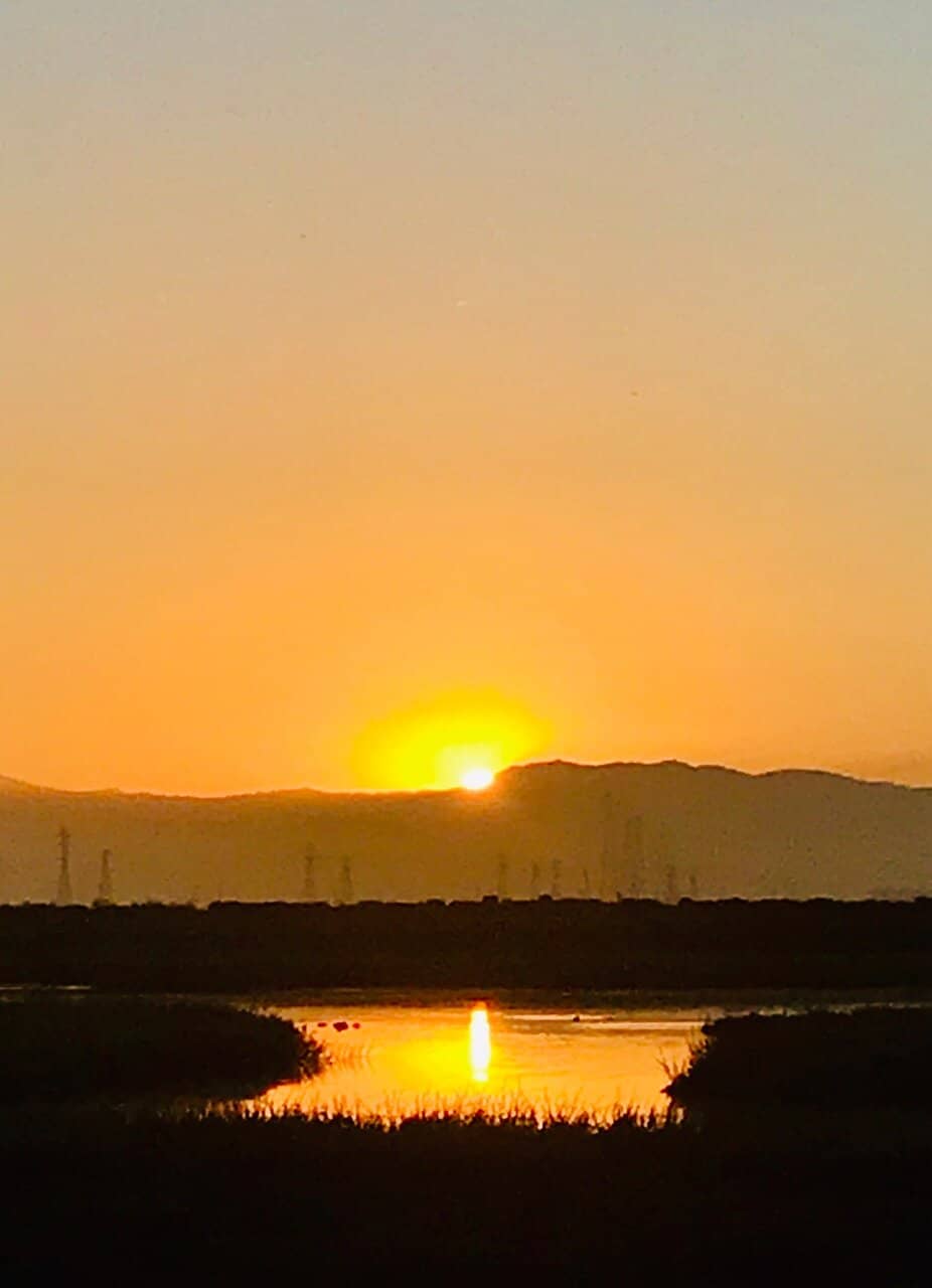 Baylands Nature Preserve Trails