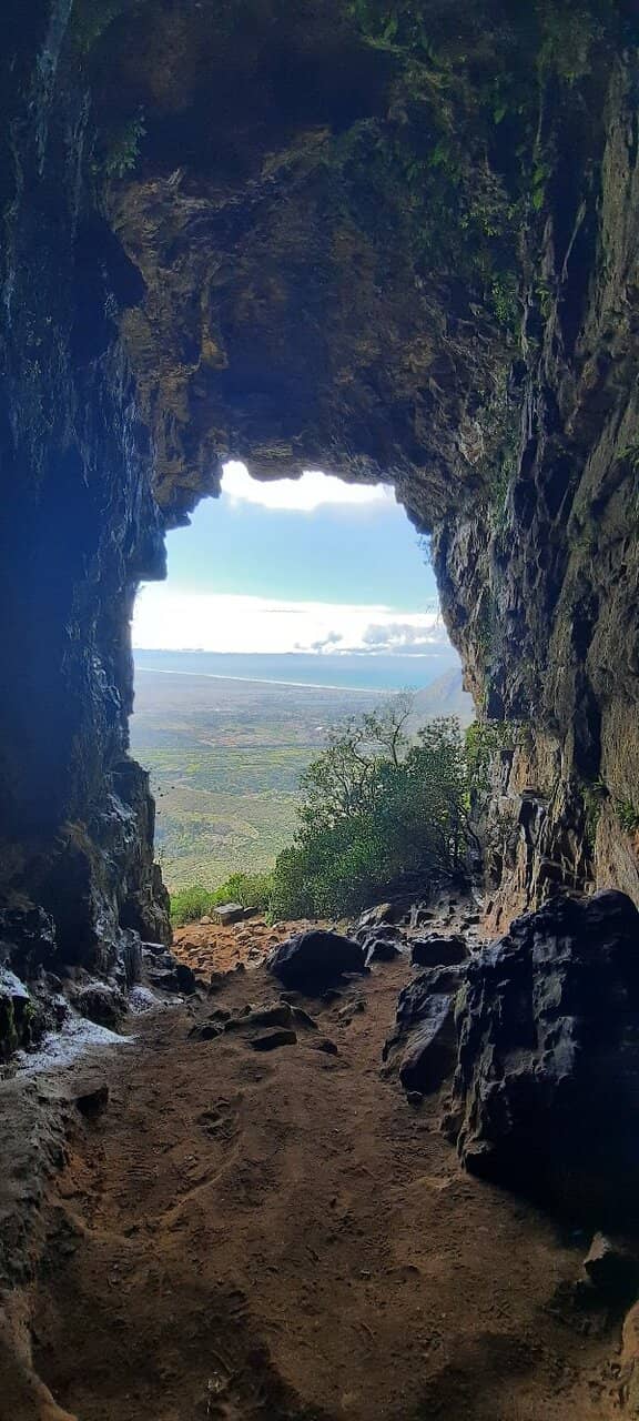 Vertical photo