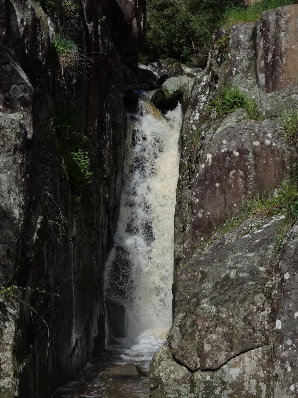 Vertical photo