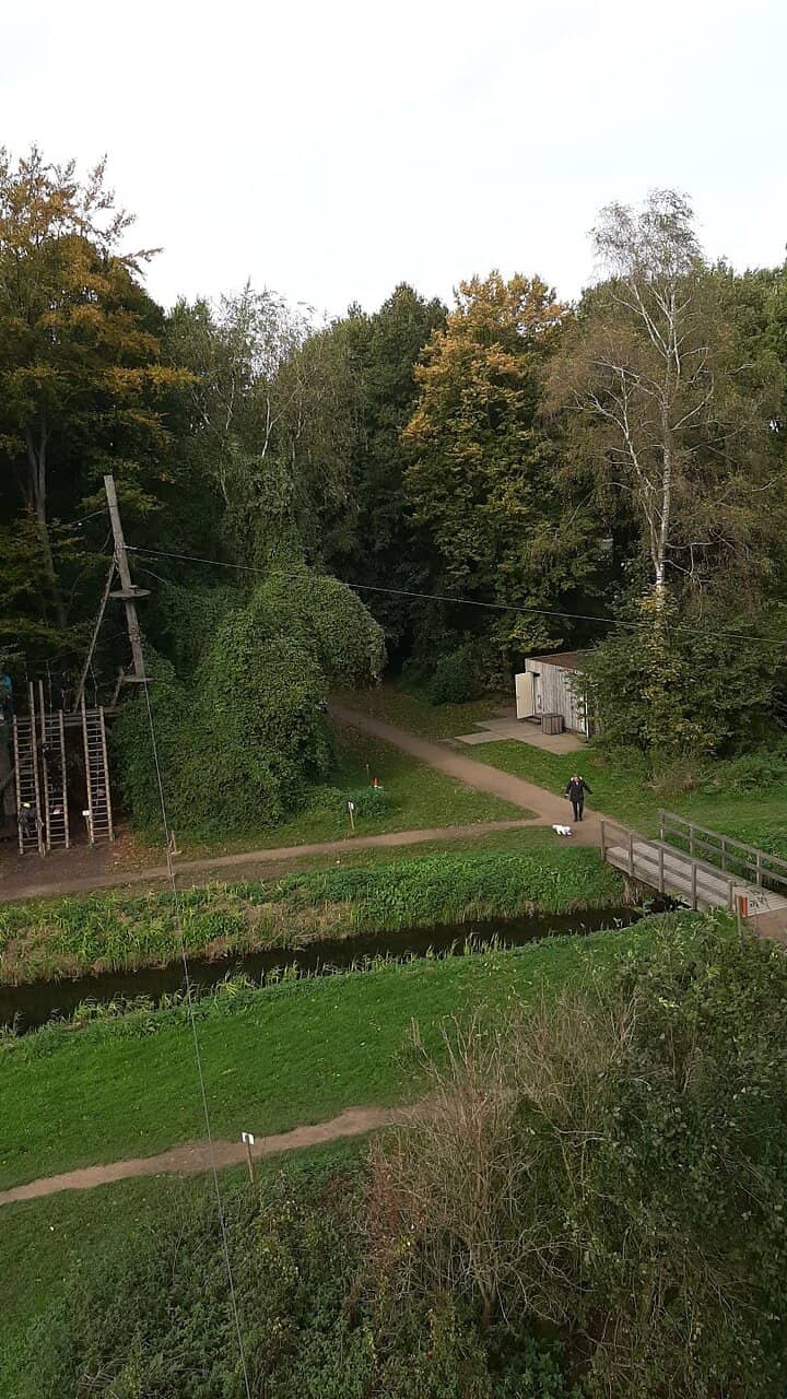 Zipline Thrills