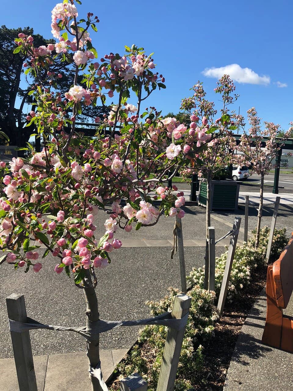 Children's Play Structures