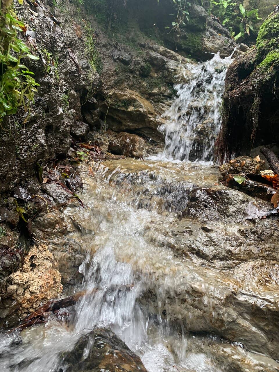 Ravine Pathways
