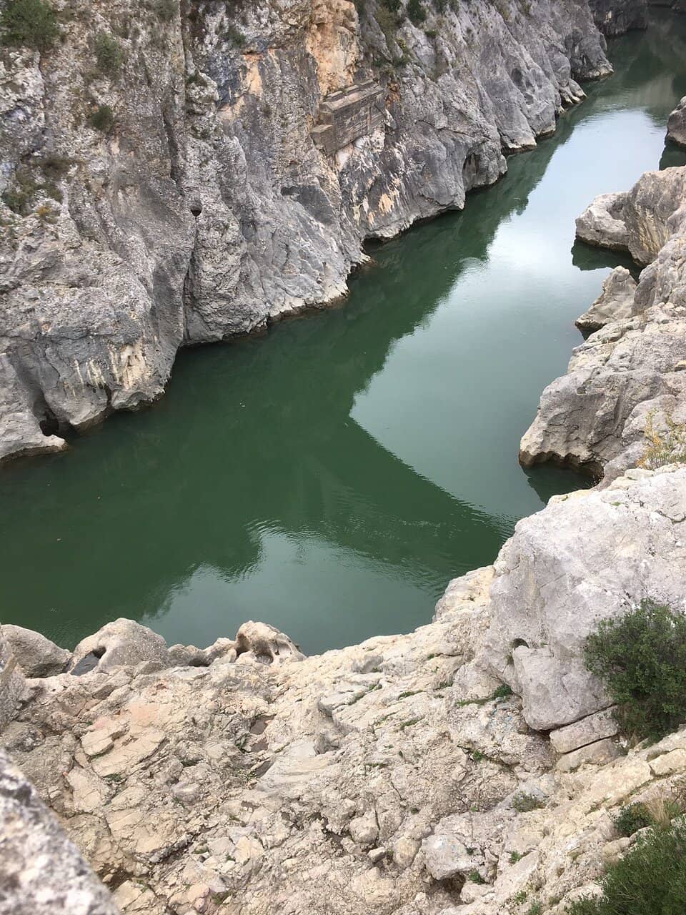 Vertical photo