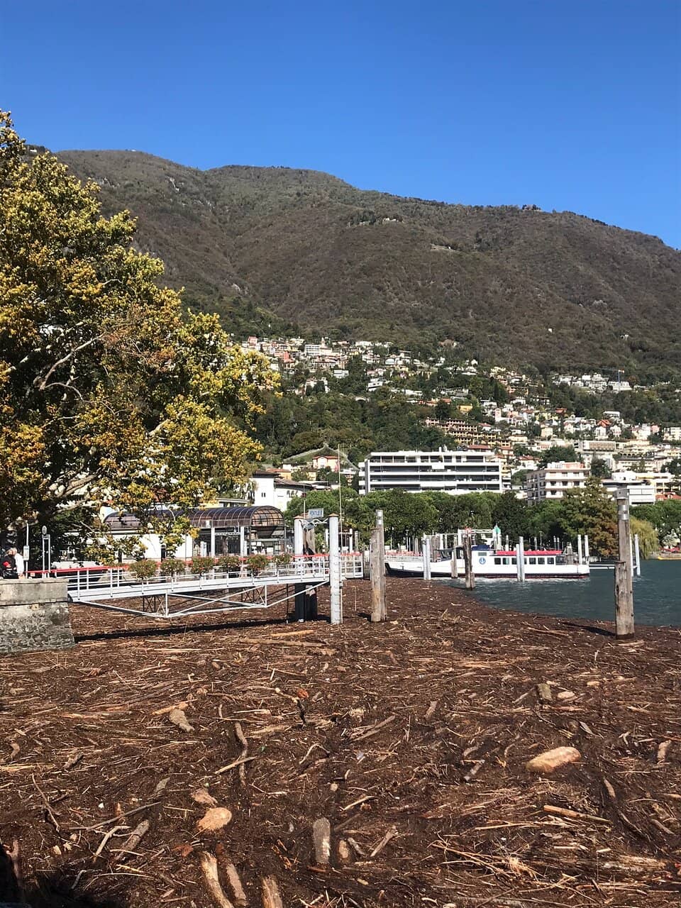 Local Market Days