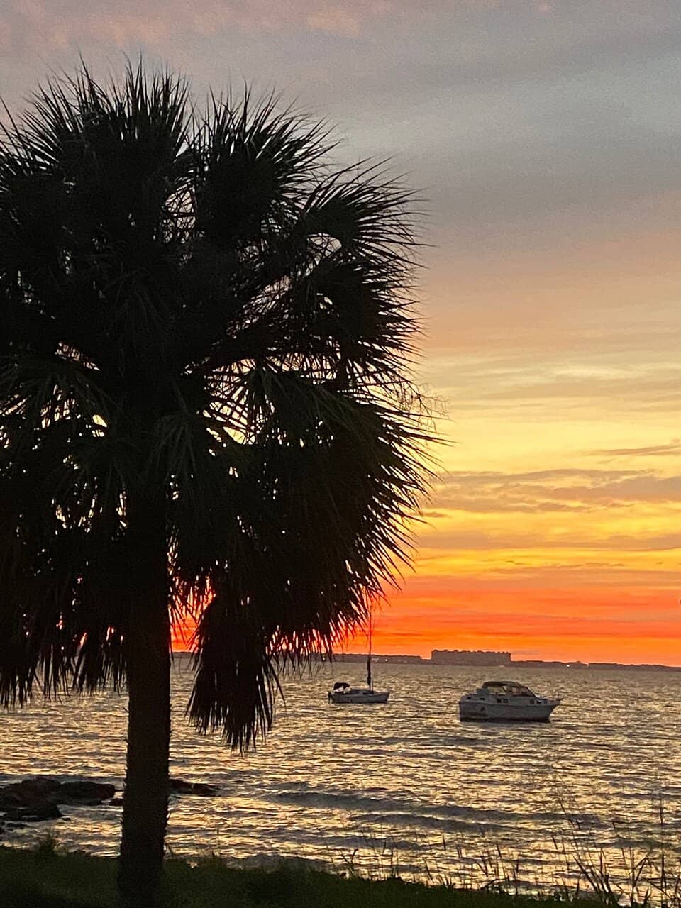 Highlights
