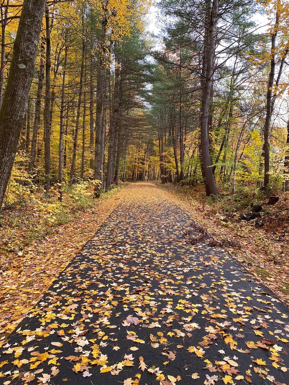 Family-Friendly Trails