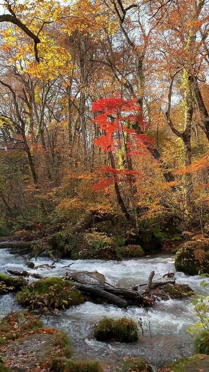 Kumoi-no-taki Waterfall