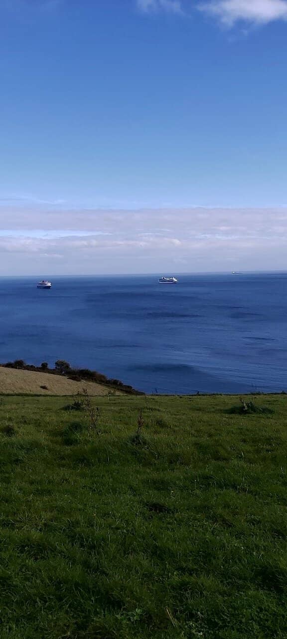 Cirl Bunting & Dolphin Spotting