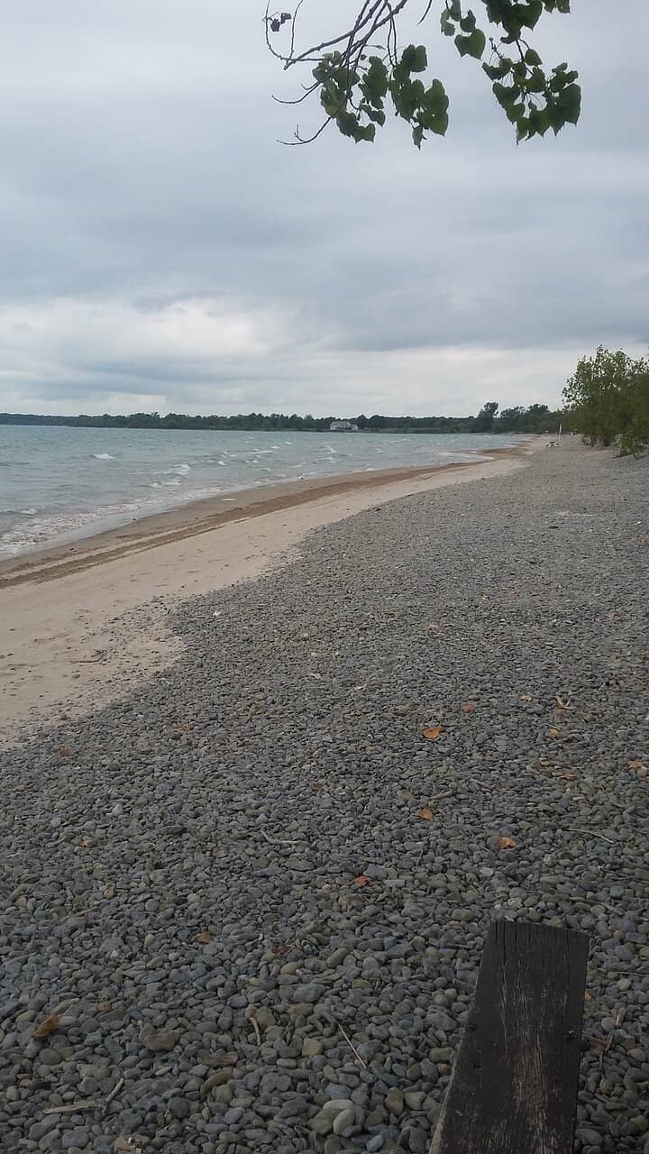 Dog-Friendly North Bay Beach