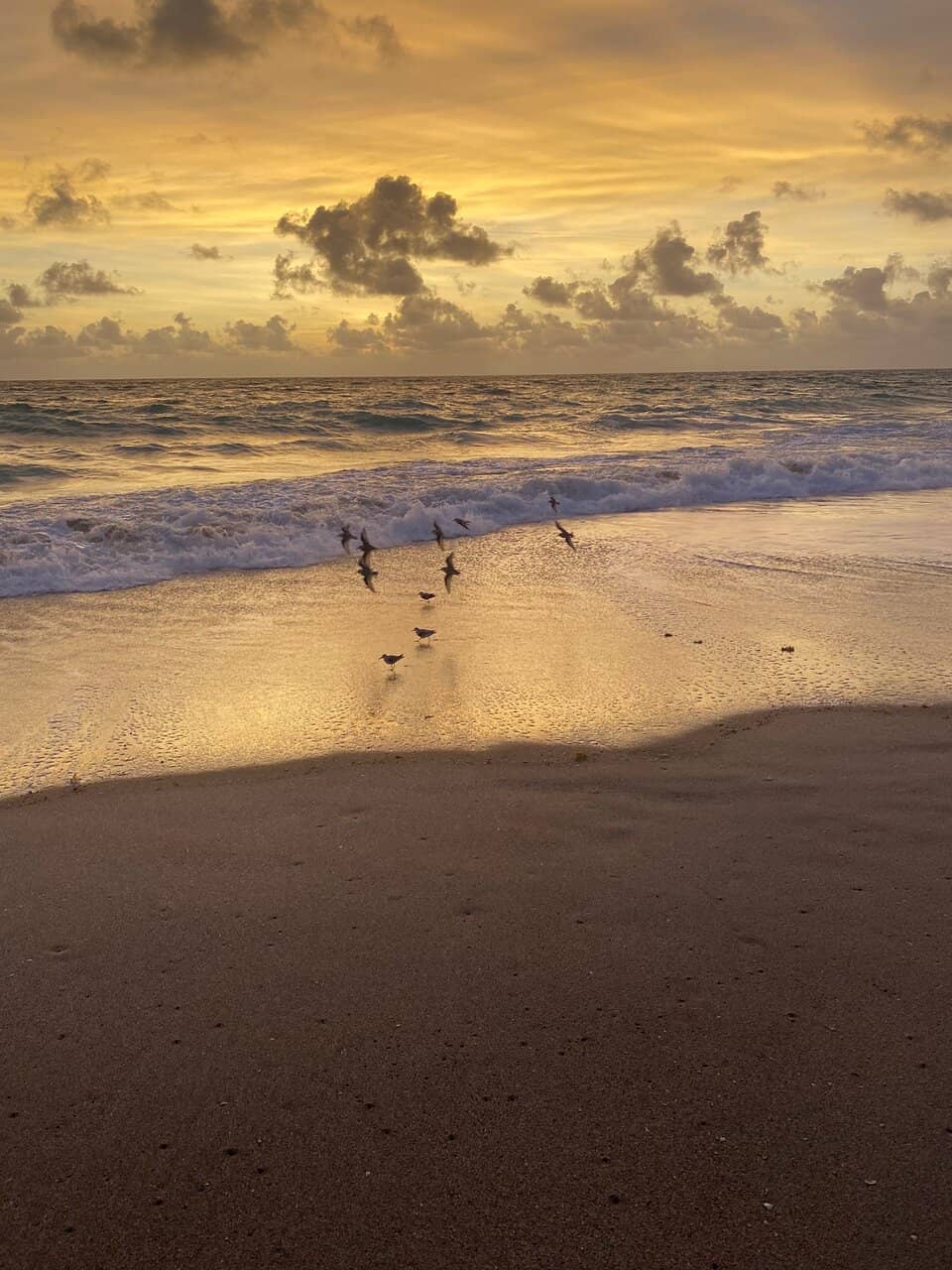 Sunset Spectacle