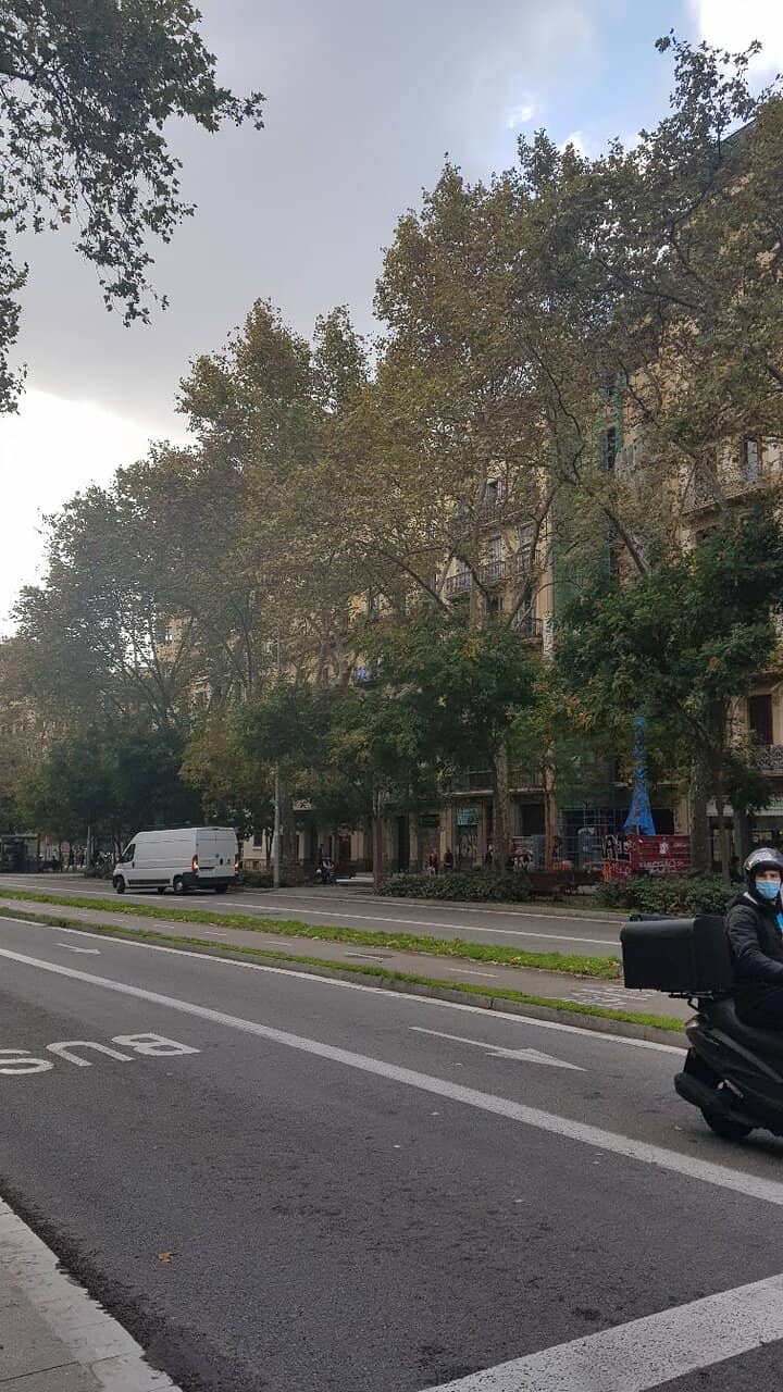 Argentinian BBQ Feast