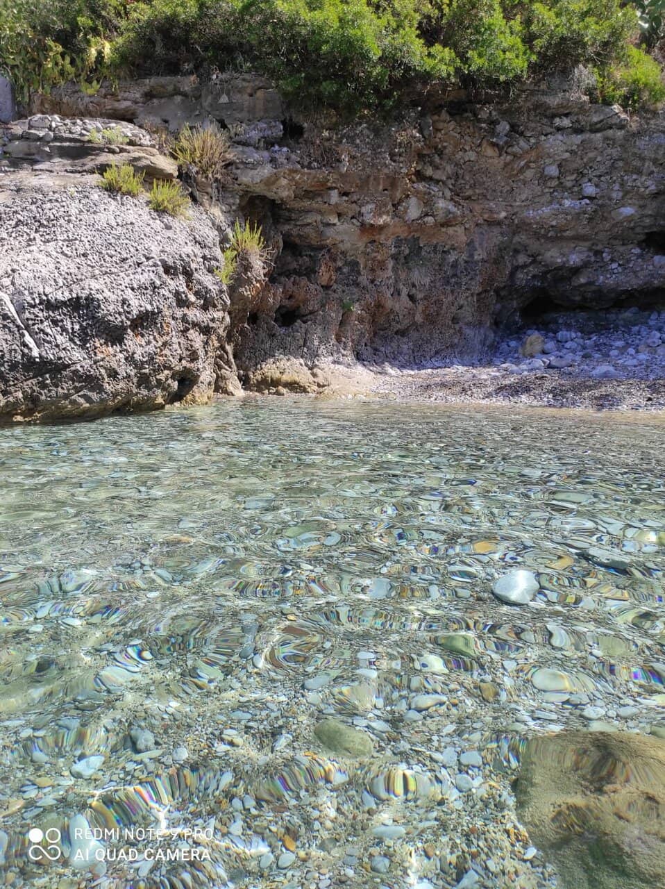 Natural Shade Oasis