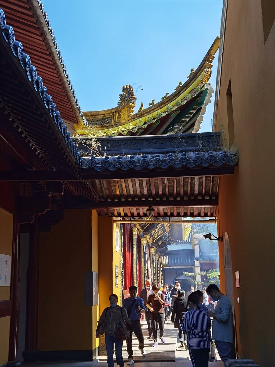 Vertical photo