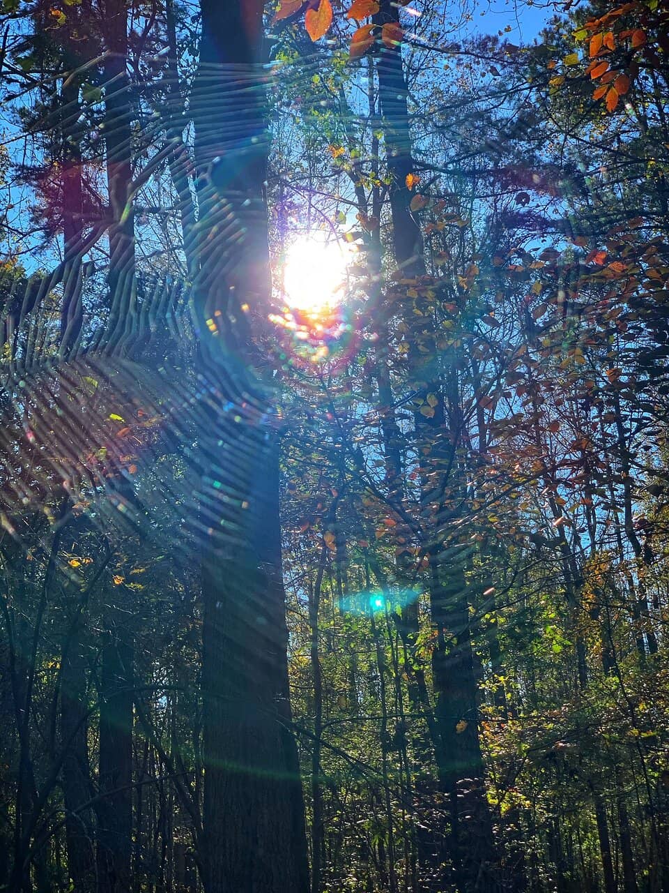 Vertical photo