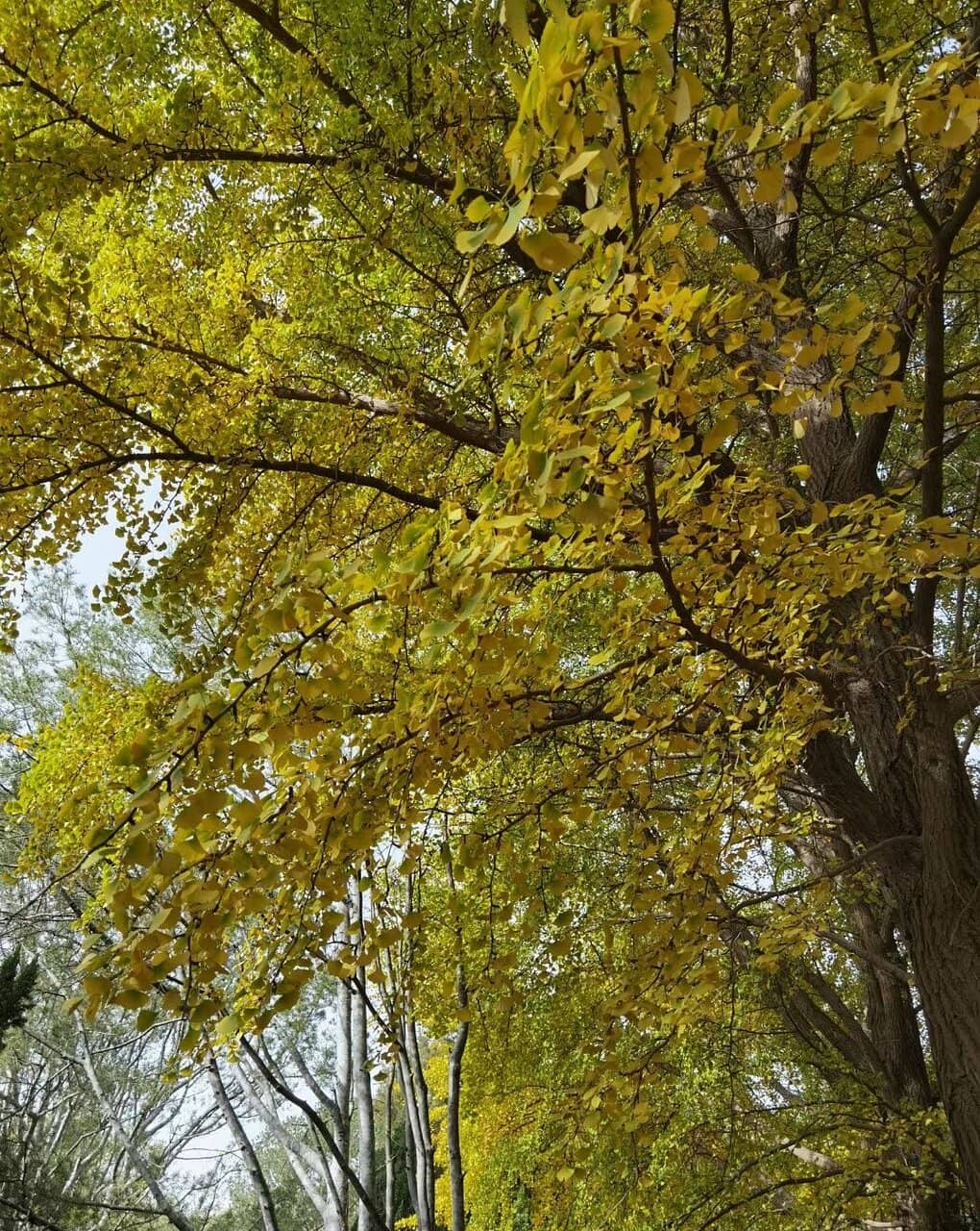 Vertical photo