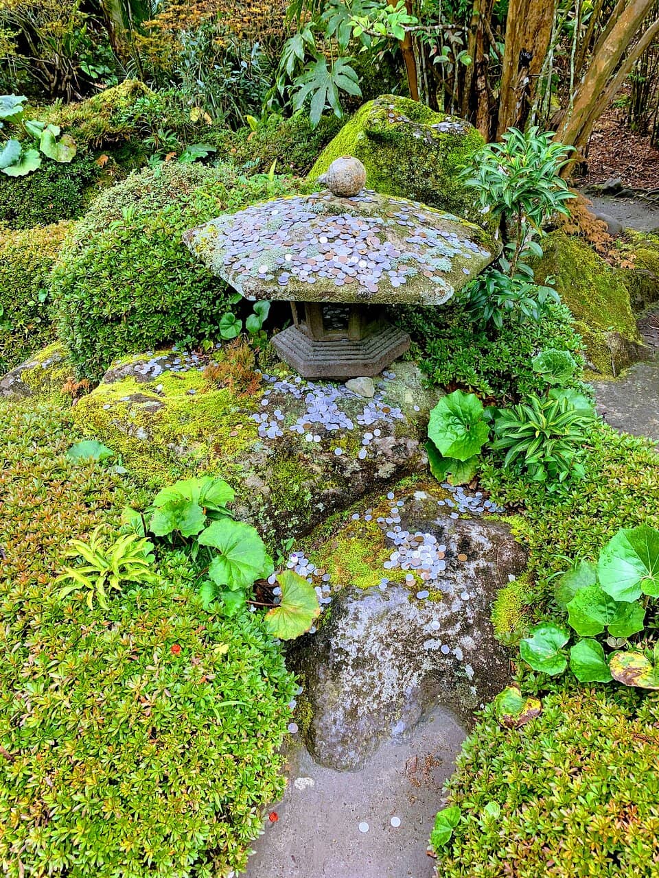 Vertical photo