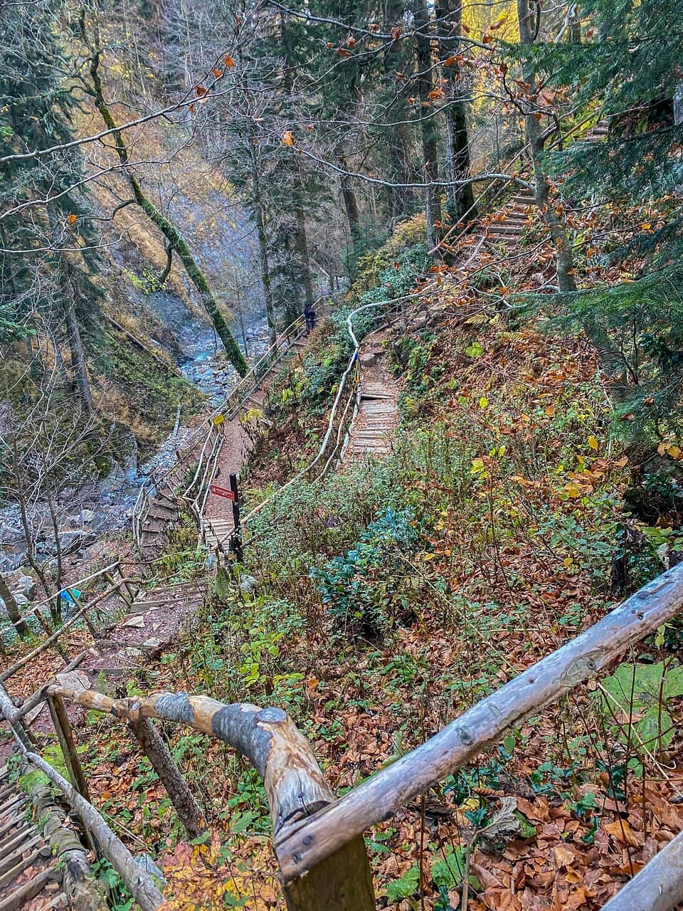 The Full Circle Trail