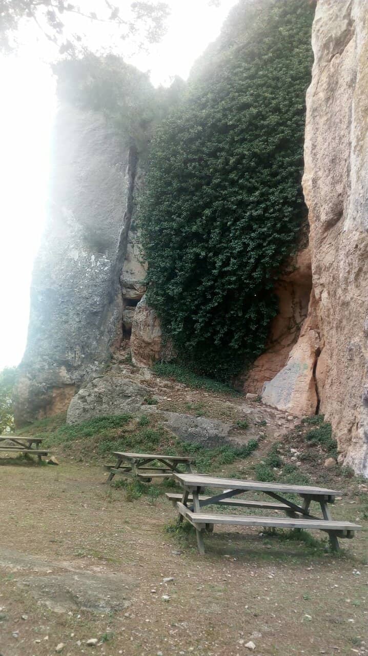 Picnic Area with a View