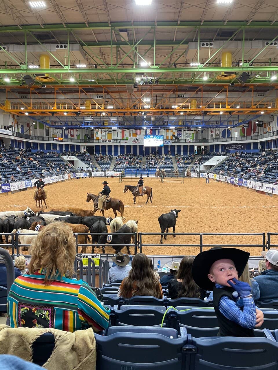 Community Events & Festivals