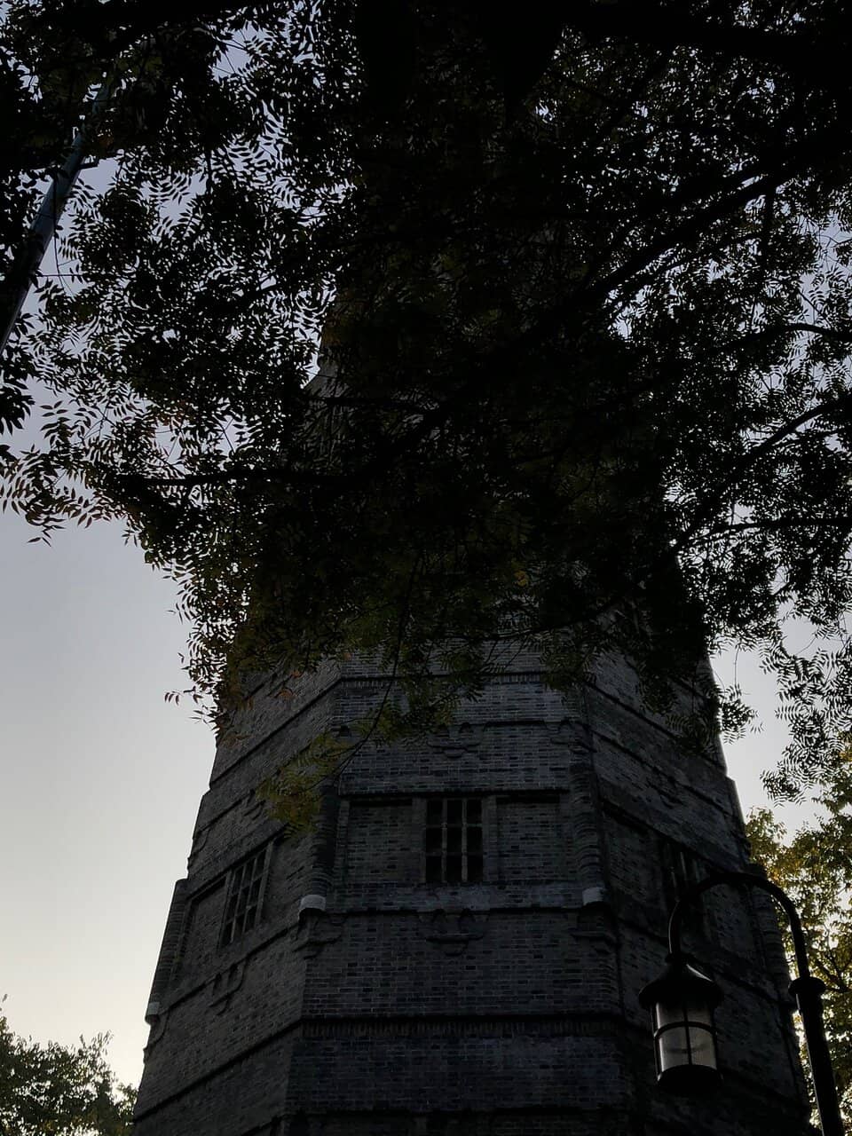 Panoramic West Lake Views