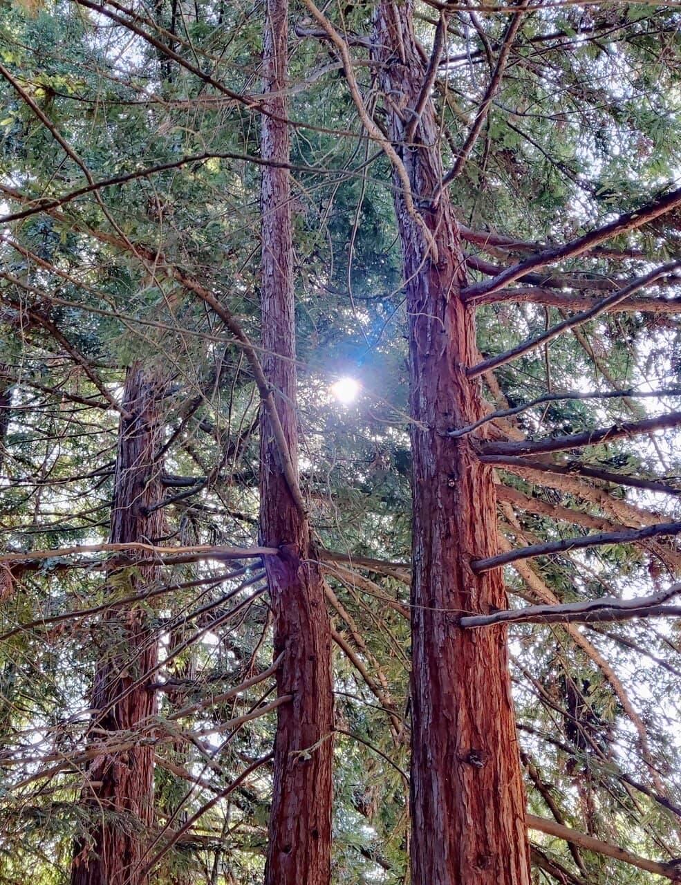 Vertical photo