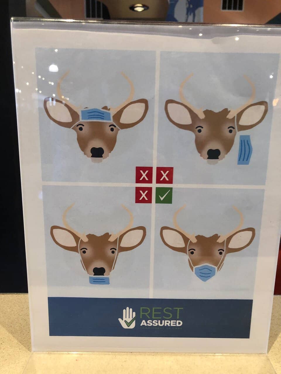 Convenient Park Essentials