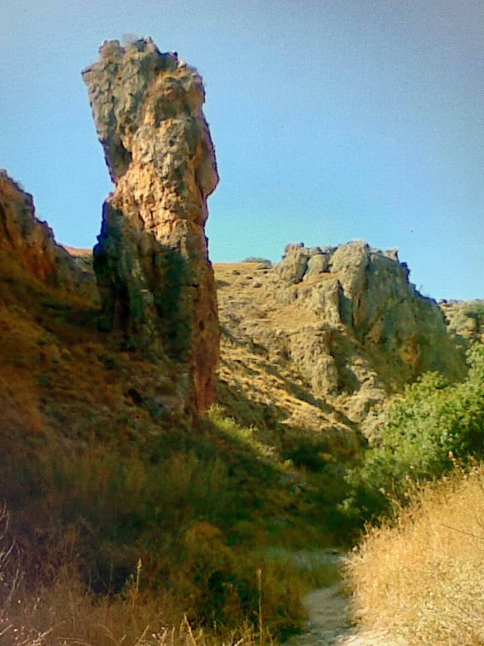 Vertical photo
