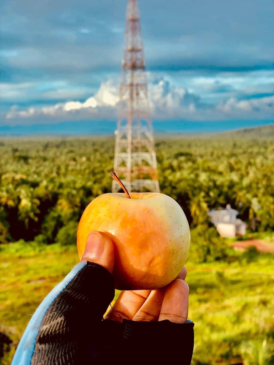 Historical Maritime Beacon