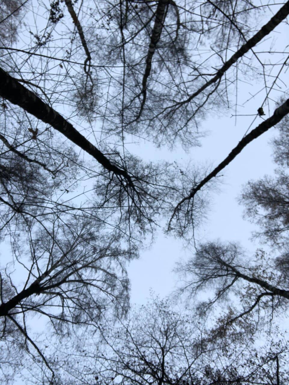 Vertical photo
