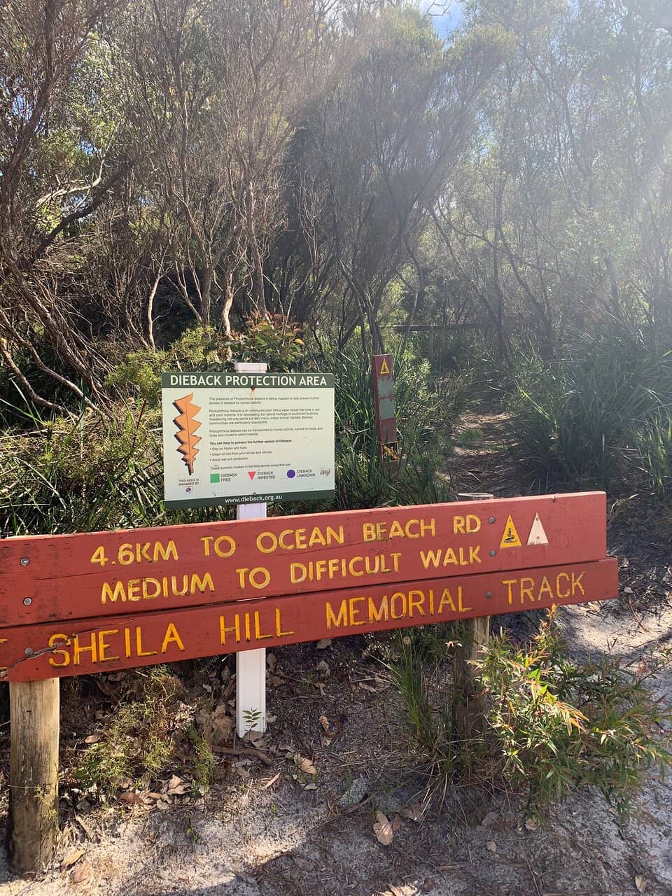 The Ascent to the Top