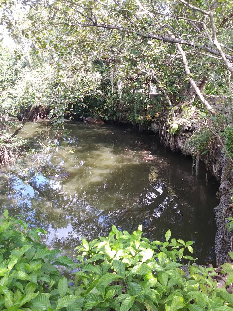 Butterfly Garden Trail
