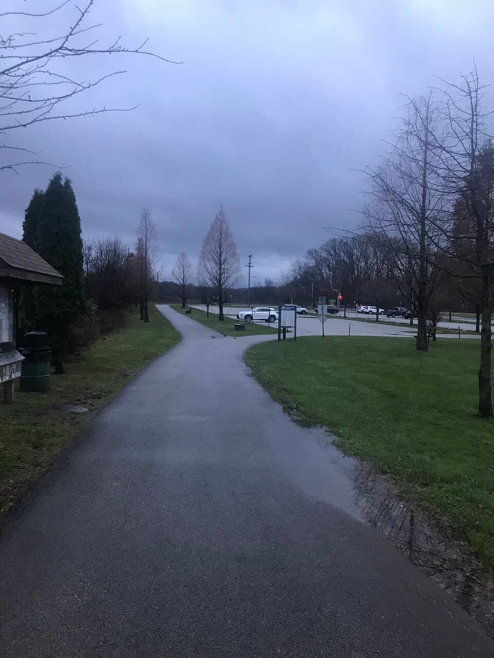 Art Installations & Sculptures