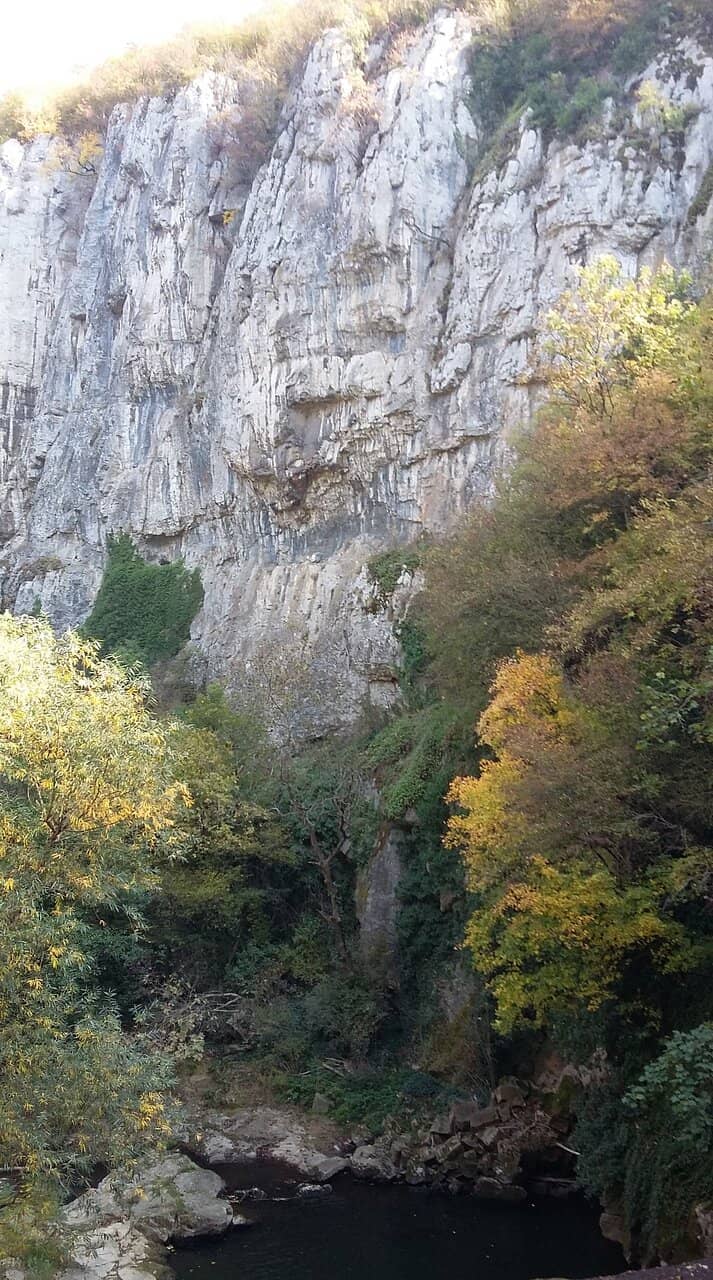 Acoustic Performances