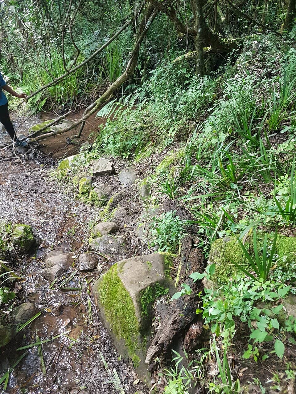 Vertical photo