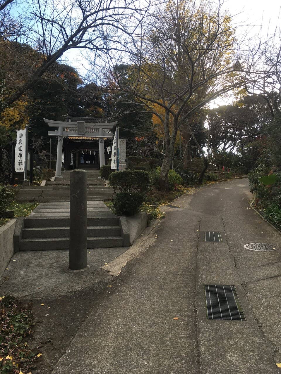 Woodland Trails & Nature