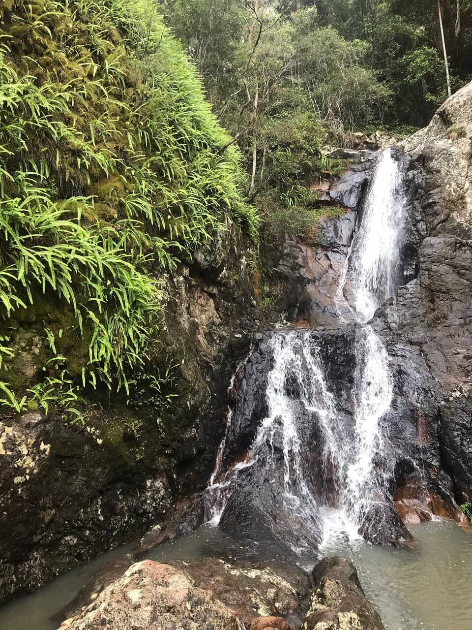 Bald Knob Road Views